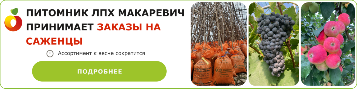 Как сделать хелат железа